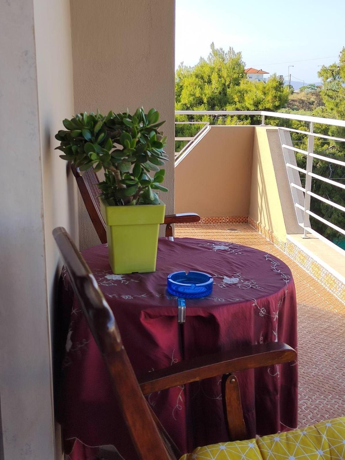 The House Next To The Canal ! Nea Moudania Exterior foto
